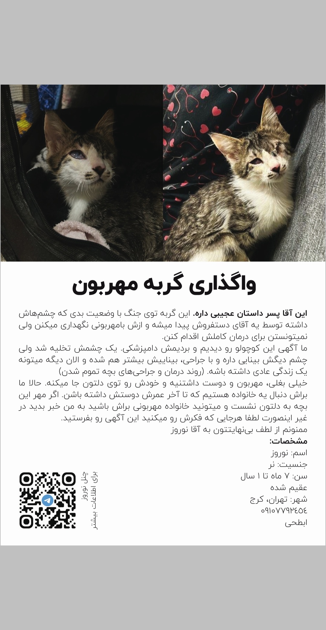 تصویر حیوان