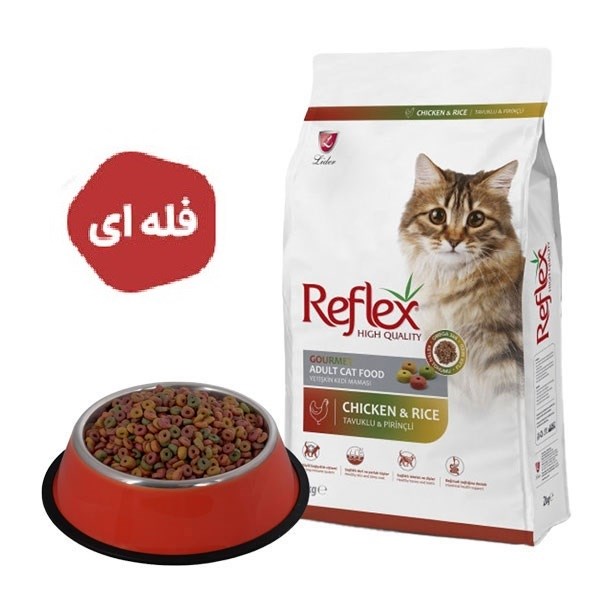 غذاخشک گربه رفلکس مولتی کالر