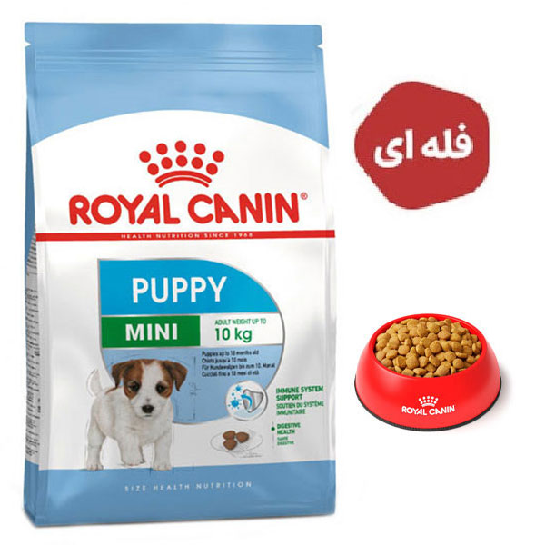 غذا خشک سگ مدل مینی پاپی رویال کنین