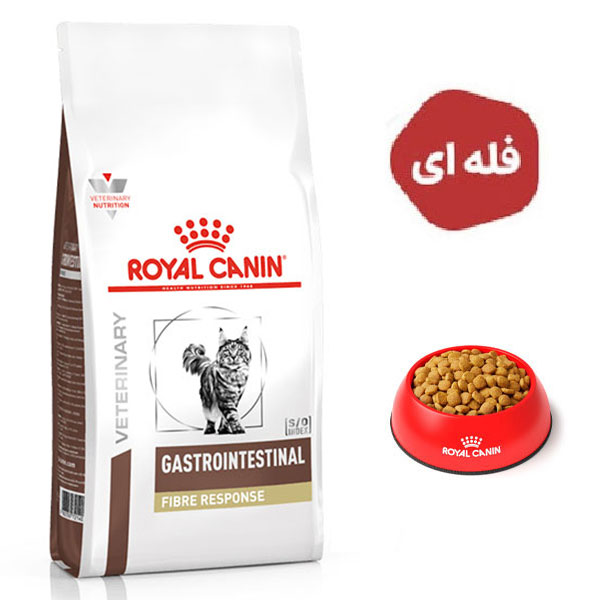 غذا خشک گربه مدل گاسترو فایبر رویال کنین