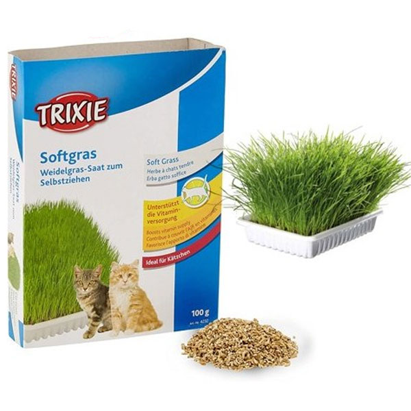 کیت بذر سبزه گربه تریکسی برای کاشت