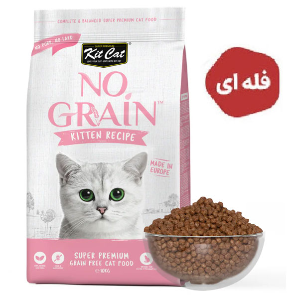 غذای خشک بچه گربه کیت کت