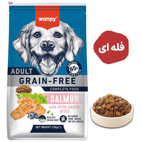غذا خشک سگ با طعم سالمون ونپی