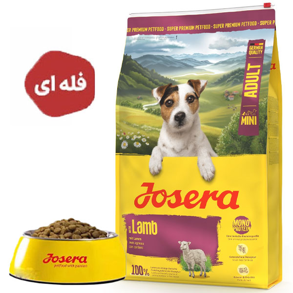 غذا خشک سگ بالغ نژاد کوچک مدل مینی دلوکس